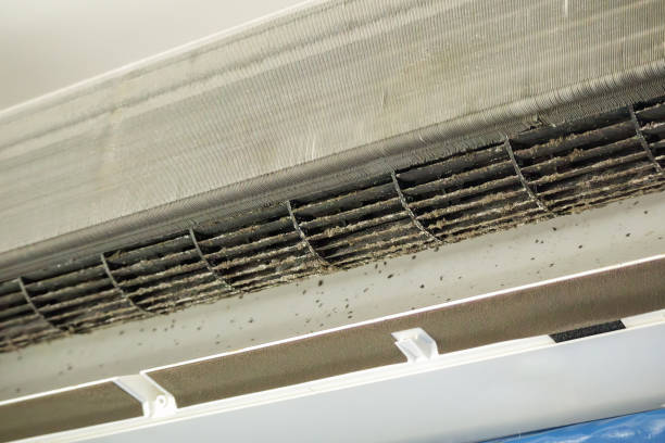 Ventilation Cleaning Services in Snead, AL