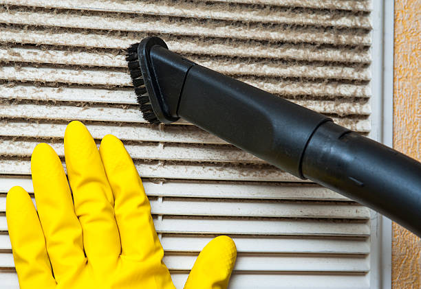 Best Professional Duct Cleaning Services  in Snead, AL