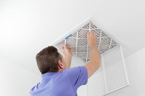 Best Local Air Duct Cleaning Services  in Snead, AL